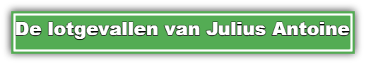De lotgevallen van Julius Antoine