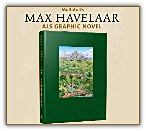 Max Havelaar - De graphic novel